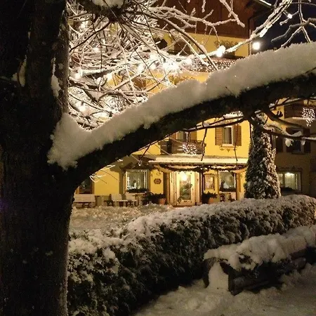 Otel Juventus Auronzo di Cadore